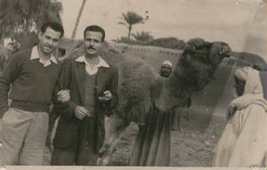 farooq15.jpg